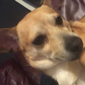 Meet your Posher, Cody